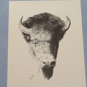 John Stone Canadian Artist Pencil Sketch Bison Vintage (K616)